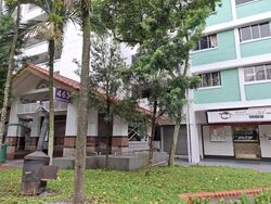 Hong Kah Ville (D22), Shop House #514660781